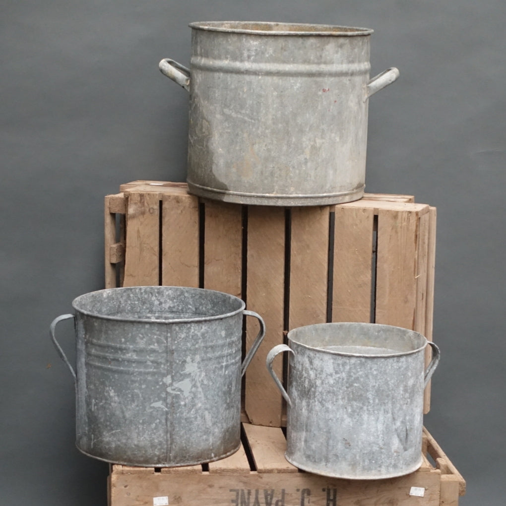 Hungarian galvanised two handled planters